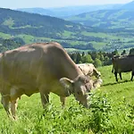 Dom wakacyjny Unser Vorsaess - Klausberg *