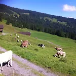 Дом отдыха Unser Vorsaess - Klausberg