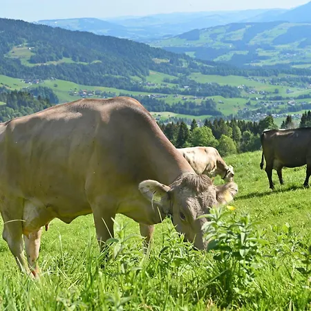 Hébergement de vacances Unser Vorsaess - Klausberg *
